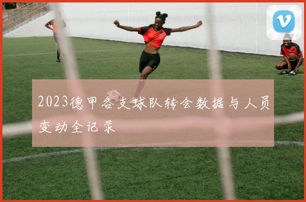 2023德甲各支球队转会数据与人员变动全记录