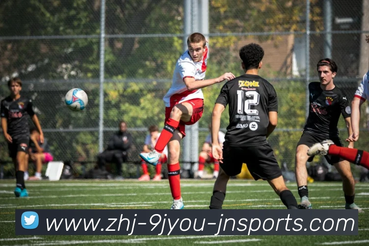 j9九游会平台生态图